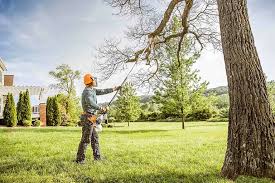 Best Leaf Removal  in Canyon, TX